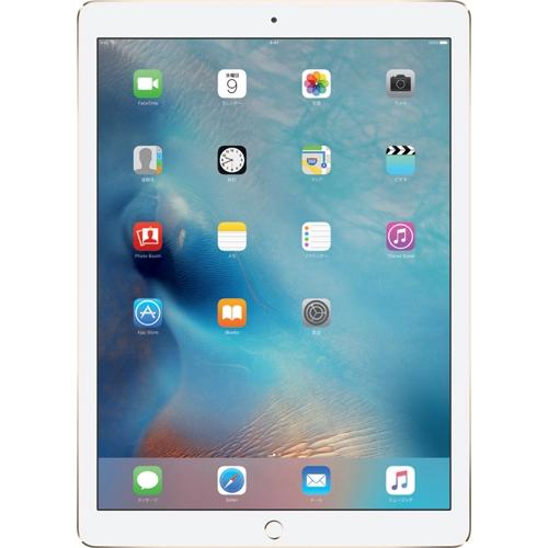 Wi-Fiモデル iPad Pro 12.9インチ 第1世代